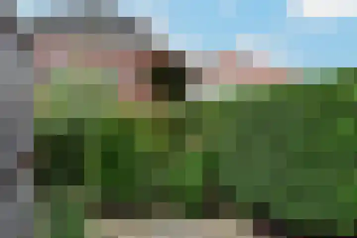 Ankeveensepad 1 b Nederhorst den Berg thumbnail 27