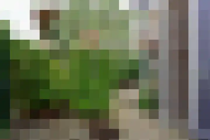 Ankeveensepad 1 b Nederhorst den Berg thumbnail 28