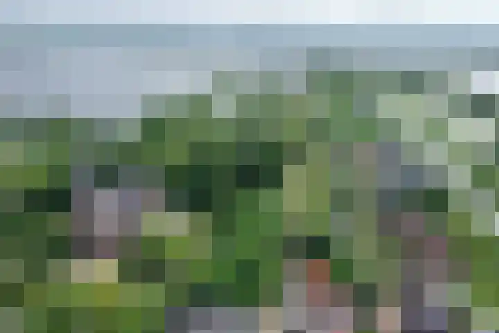 Ankeveensepad 1 b Nederhorst den Berg foto 3