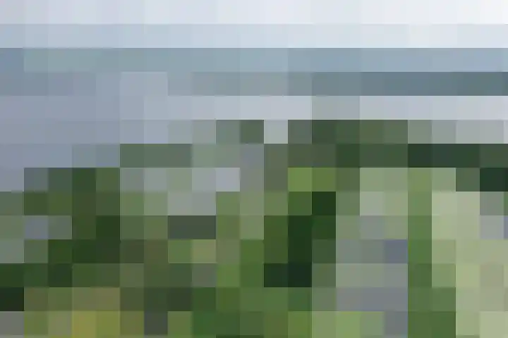 Ankeveensepad 1 b Nederhorst den Berg thumbnail 34