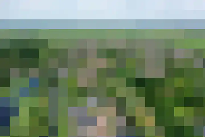 Ankeveensepad 1 b Nederhorst den Berg thumbnail 35