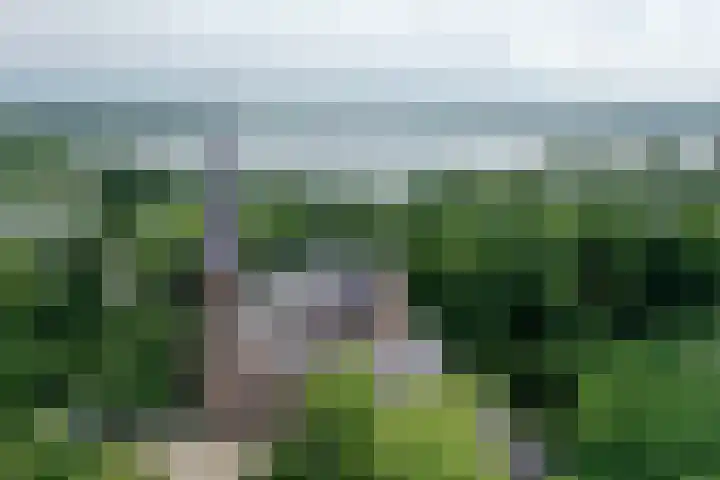 Ankeveensepad 1 b Nederhorst den Berg thumbnail 5