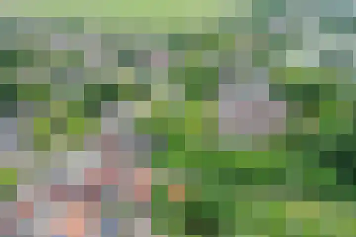 Ankeveensepad 1 b Nederhorst den Berg thumbnail 6