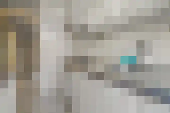 Ankeveensestraat 2 Den Haag thumbnail 11