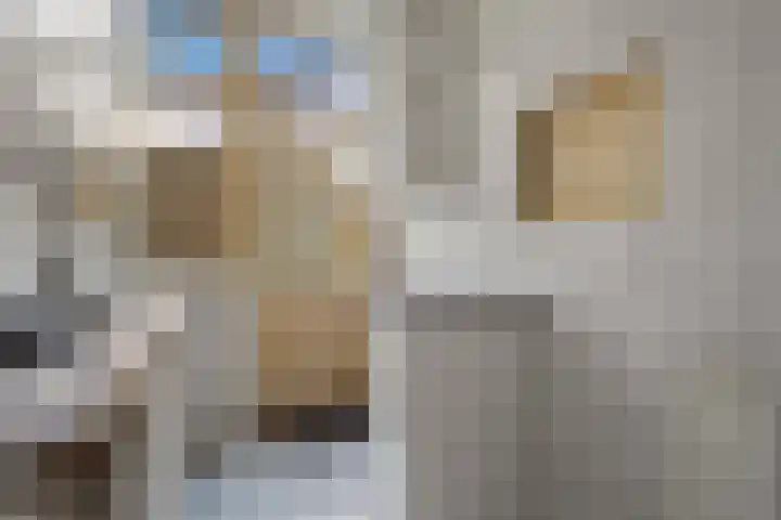 Ankeveensestraat 2 Den Haag thumbnail 12