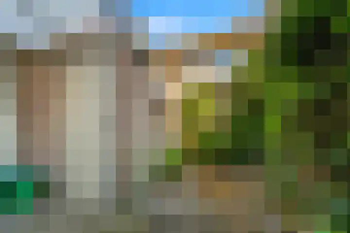 Ankeveensestraat 2 Den Haag thumbnail 13
