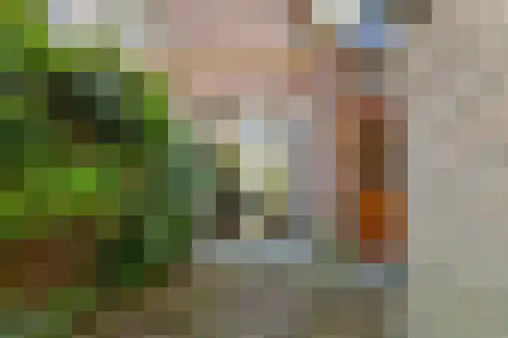 Ankeveensestraat 2 Den Haag thumbnail 14