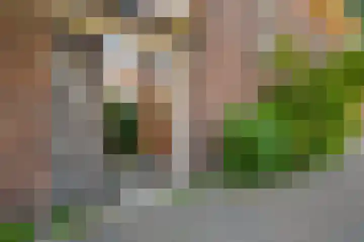 Ankeveensestraat 2 Den Haag thumbnail 15