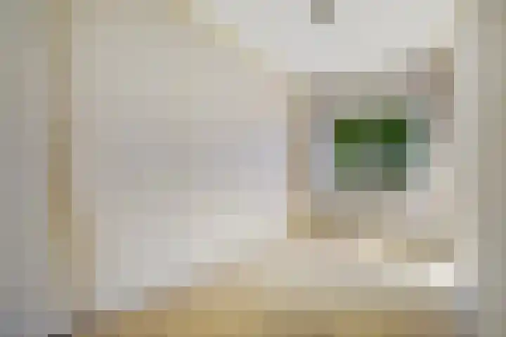 Ankeveensestraat 2 Den Haag thumbnail 19