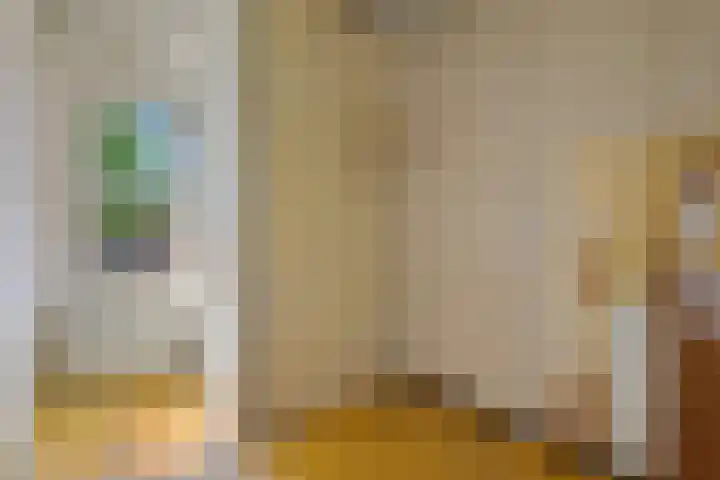 Ankeveensestraat 2 Den Haag thumbnail 22