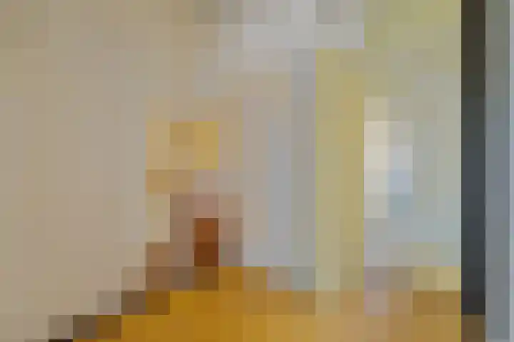 Ankeveensestraat 2 Den Haag thumbnail 23