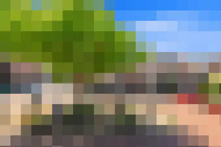 Ankeveensestraat 2 Den Haag thumbnail 25
