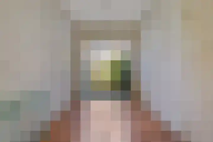 Ankeveensestraat 2 Den Haag thumbnail 8