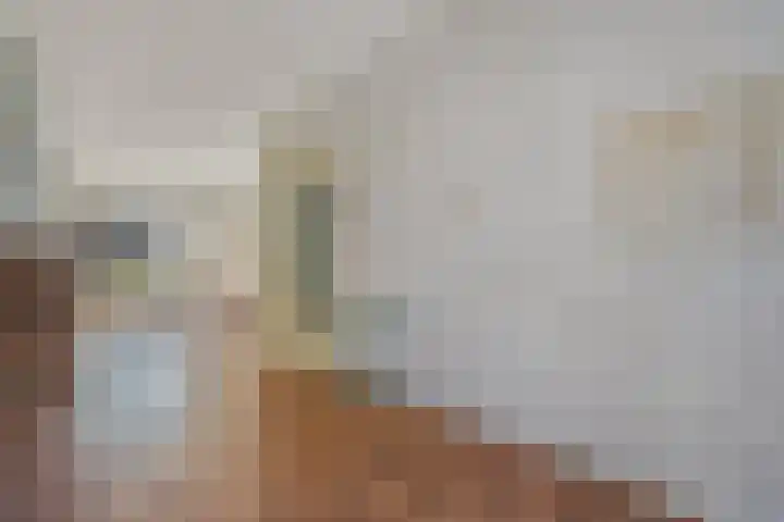 Ankeveensestraat 2 Den Haag thumbnail 9