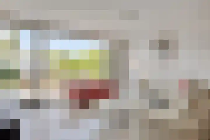 Ankeveenstraat 108 Tilburg thumbnail 12