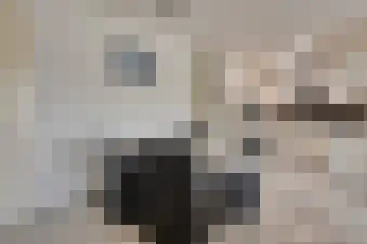 Ankeveenstraat 108 Tilburg thumbnail 15