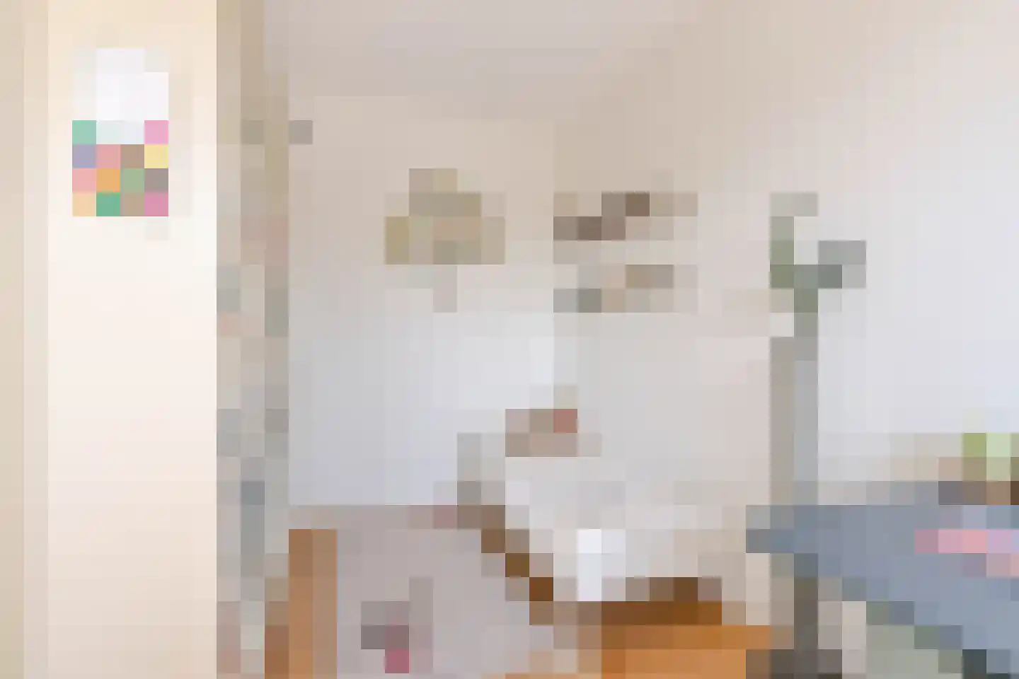 Ankeveenstraat 112 Tilburg thumbnail 32