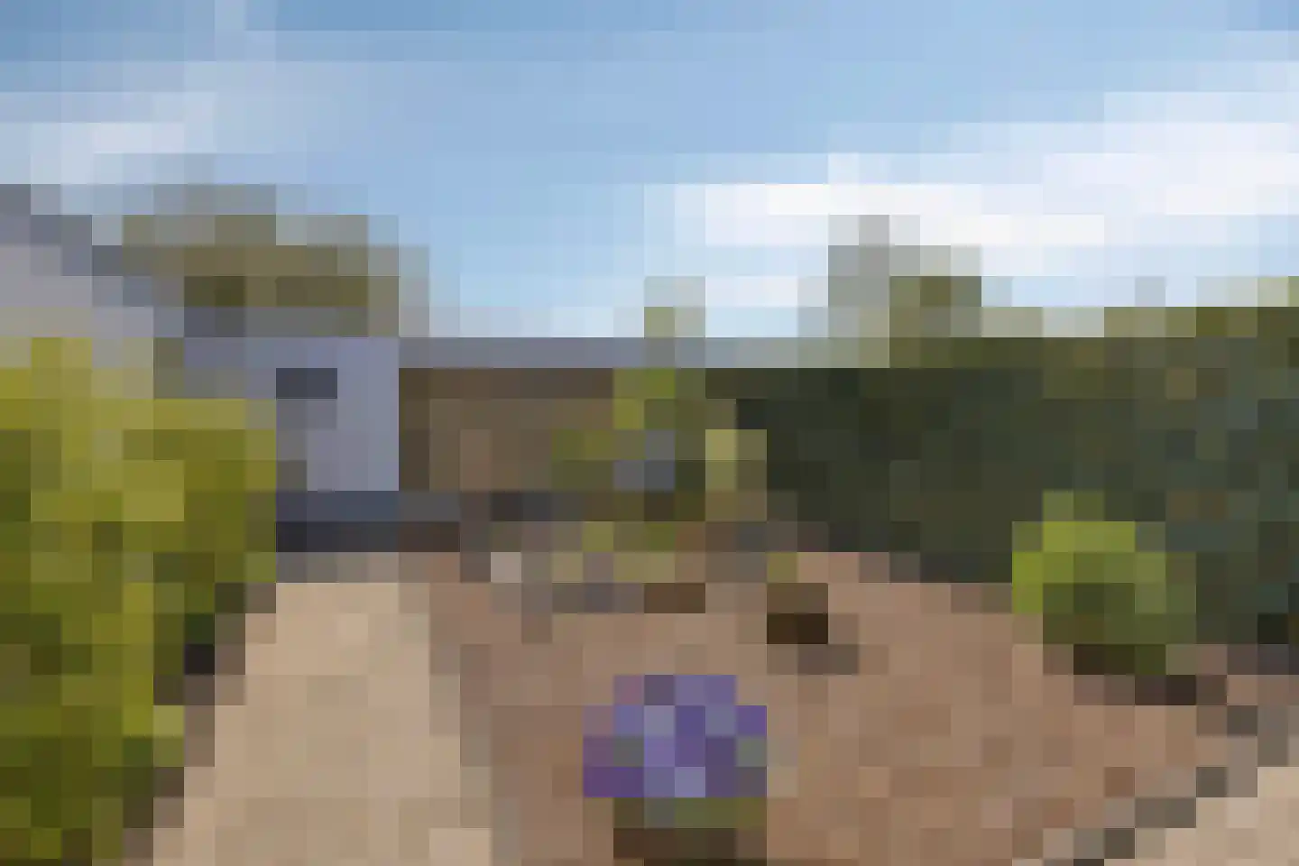 Ankeveenstraat 112 Tilburg thumbnail 39