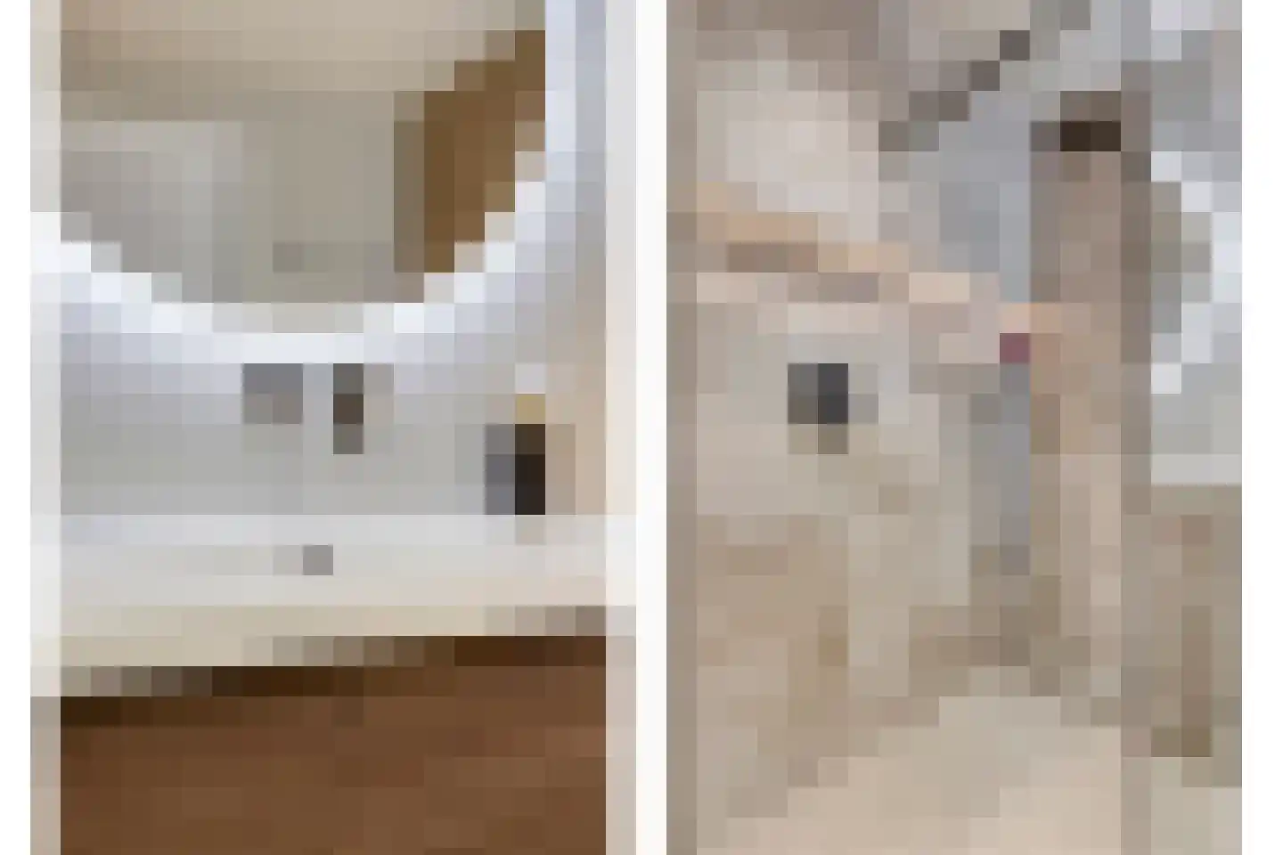 Ankeveenstraat 25 Tilburg thumbnail 22