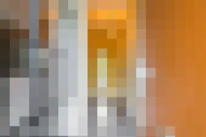 Ankeveenstraat 32 Tilburg thumbnail 10