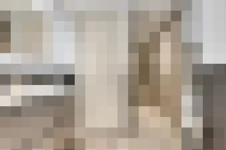 Ankeveenstraat 32 Tilburg thumbnail 16