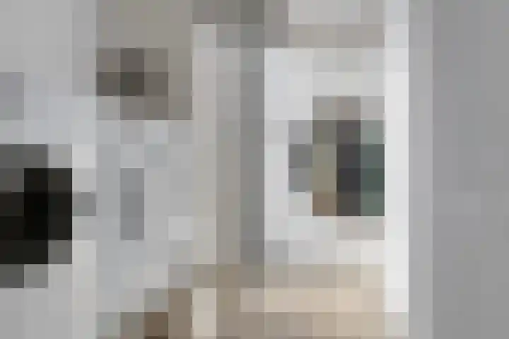 Ankeveenstraat 32 Tilburg thumbnail 23