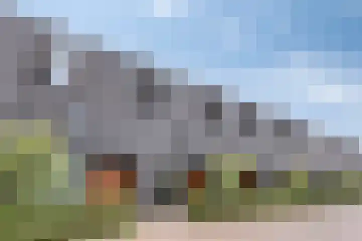 Ankeveenstraat 32 Tilburg thumbnail 33