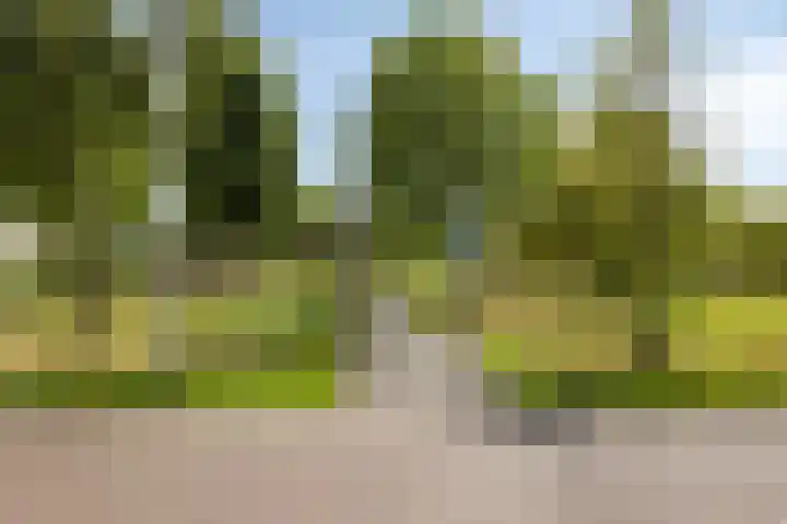 Ankeveenstraat 32 Tilburg thumbnail 35