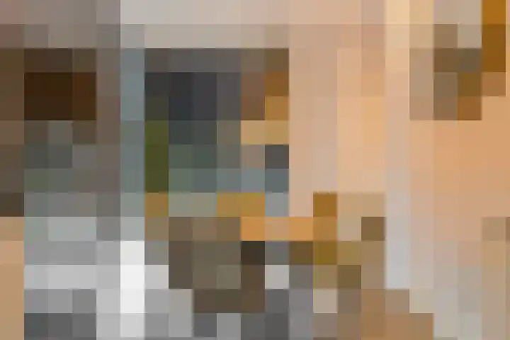 Ankeveenstraat 32 Tilburg thumbnail 5