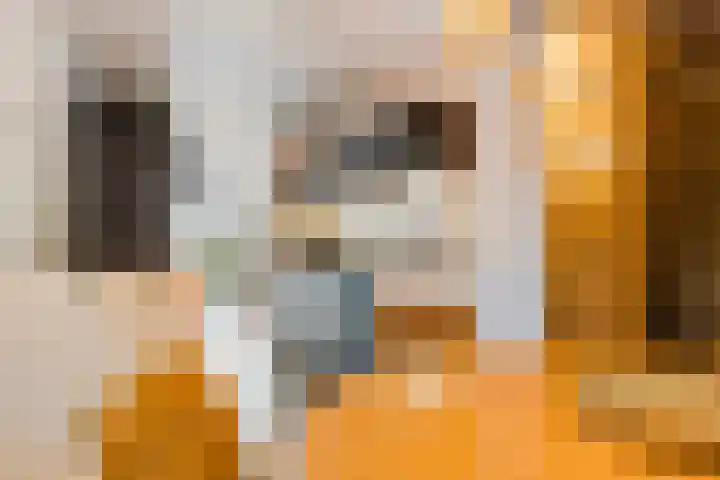Ankeveenstraat 32 Tilburg thumbnail 6