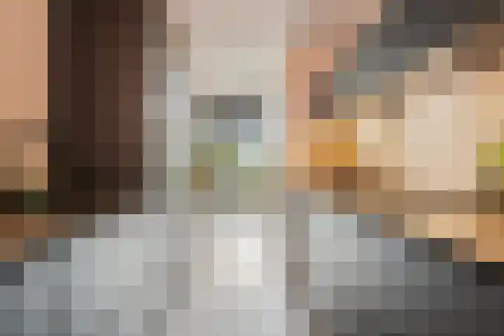 Ankeveenstraat 32 Tilburg thumbnail 7