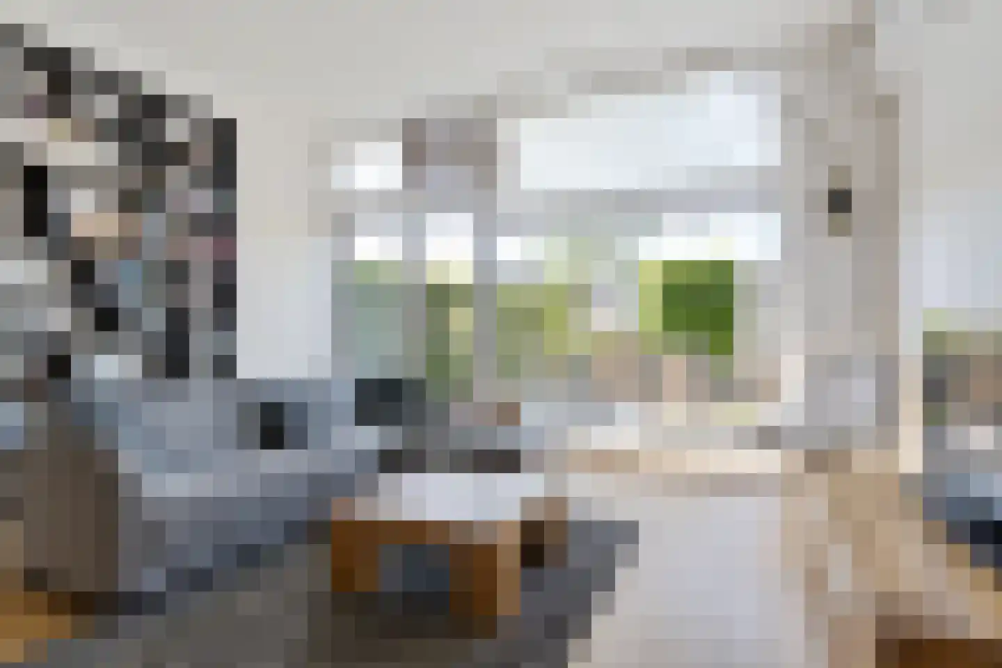 Ankeveenstraat 62 Tilburg thumbnail 19