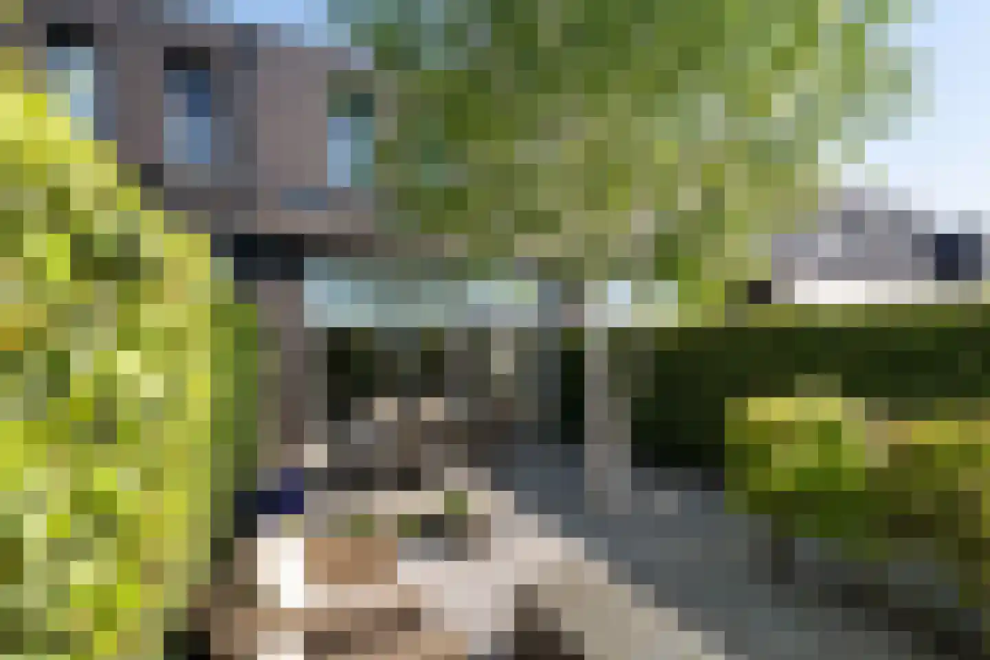 Ankeveenstraat 62 Tilburg thumbnail 36