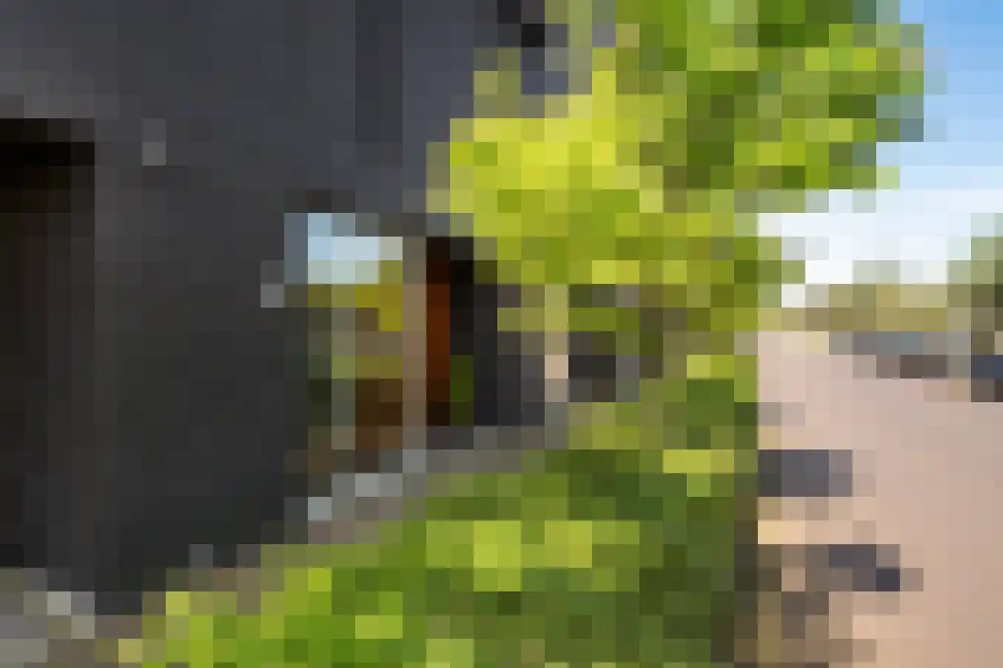 Ankeveenstraat 62 Tilburg thumbnail 4