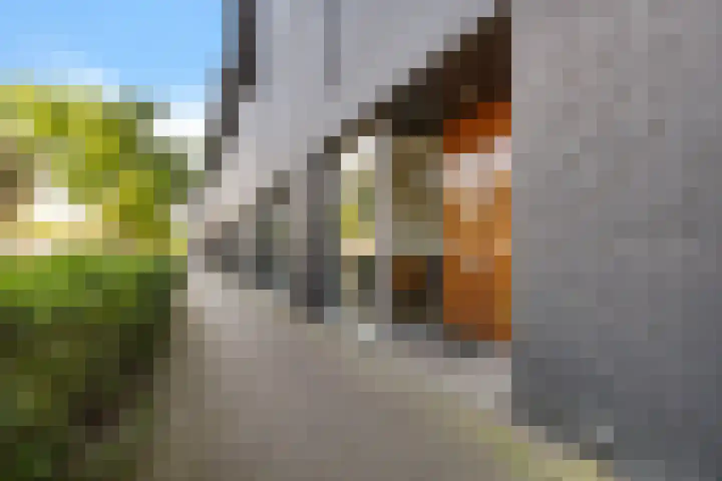 Ankeveenstraat 62 Tilburg thumbnail 5