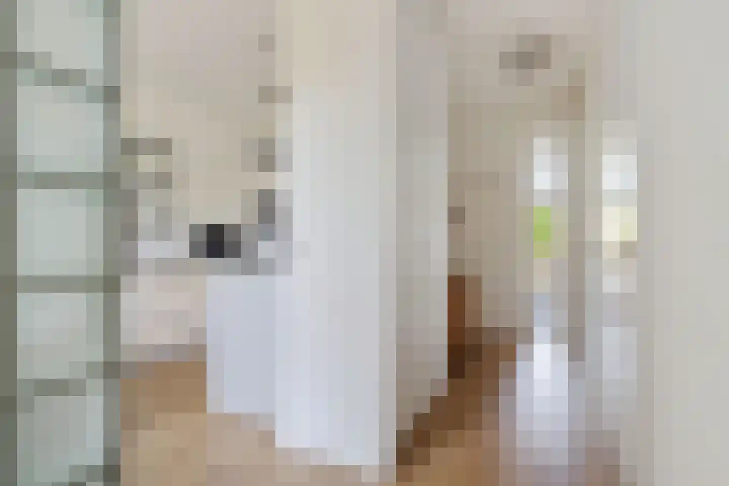 Ankeveenstraat 62 Tilburg thumbnail 6