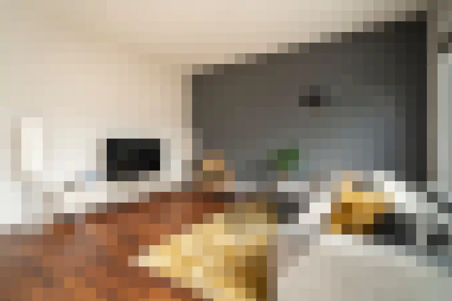 Ankeveenstraat 8 Tilburg thumbnail 16