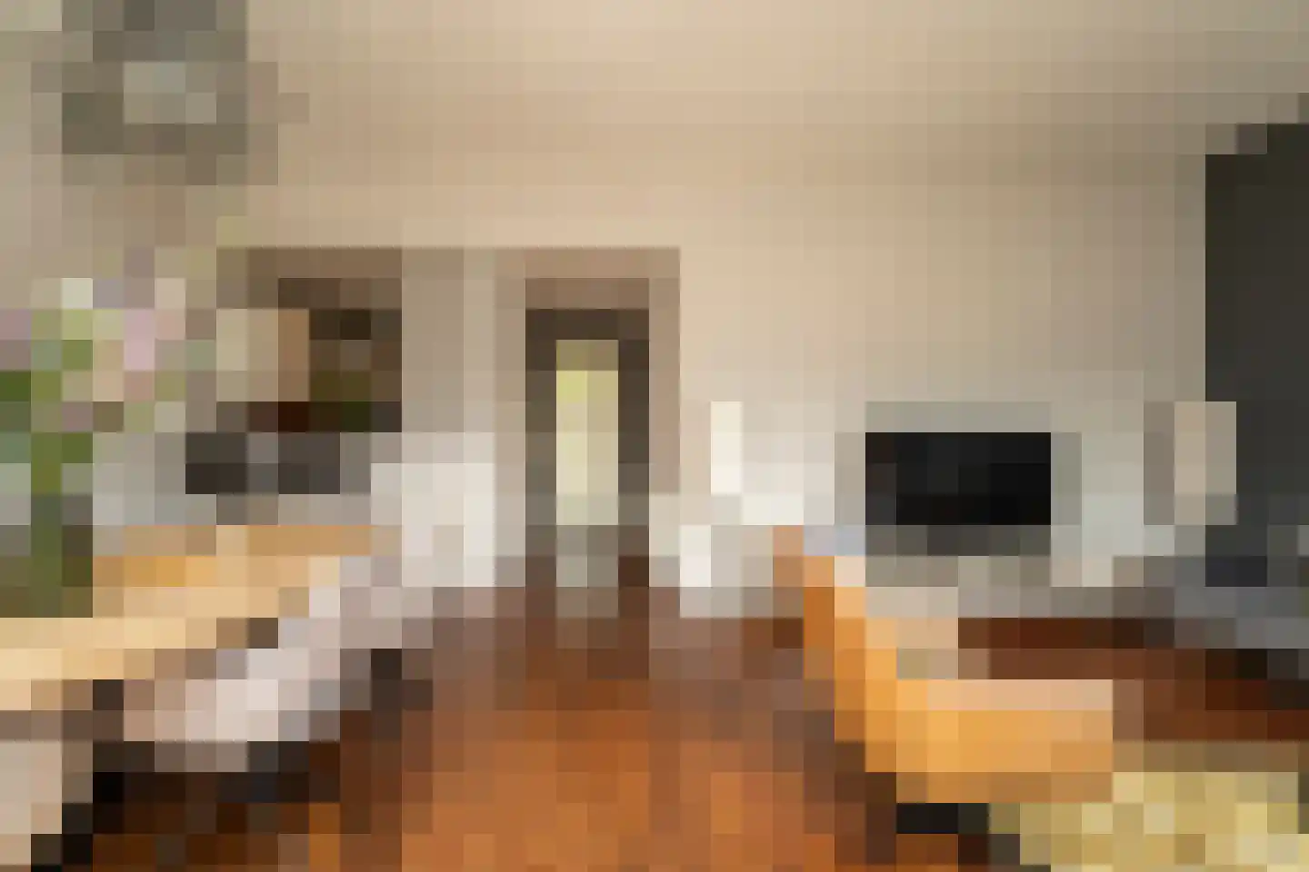 Ankeveenstraat 8 Tilburg thumbnail 18