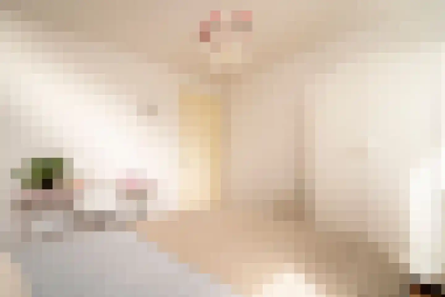 Ankeveenstraat 8 Tilburg thumbnail 19