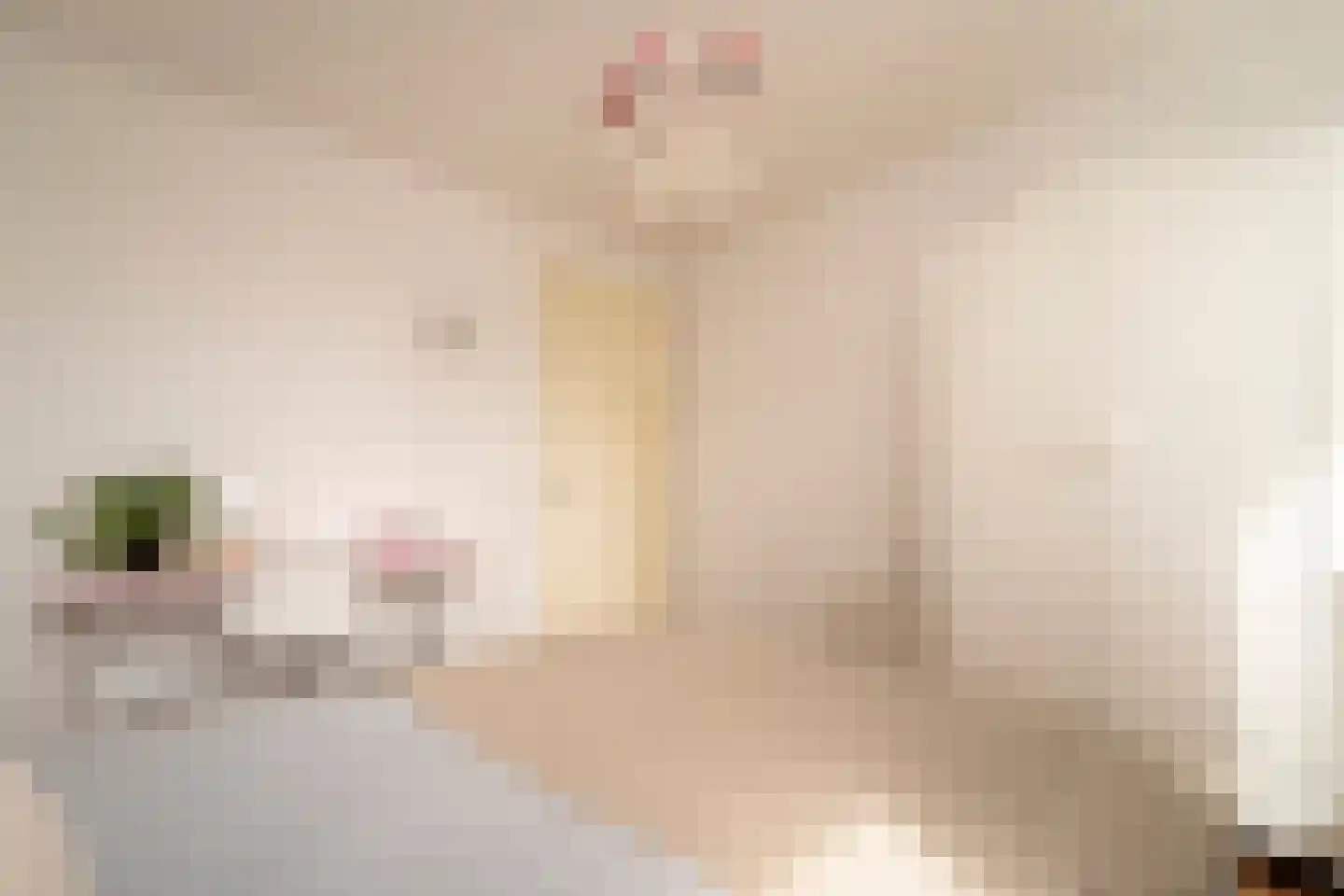 Ankeveenstraat 8 Tilburg thumbnail 24