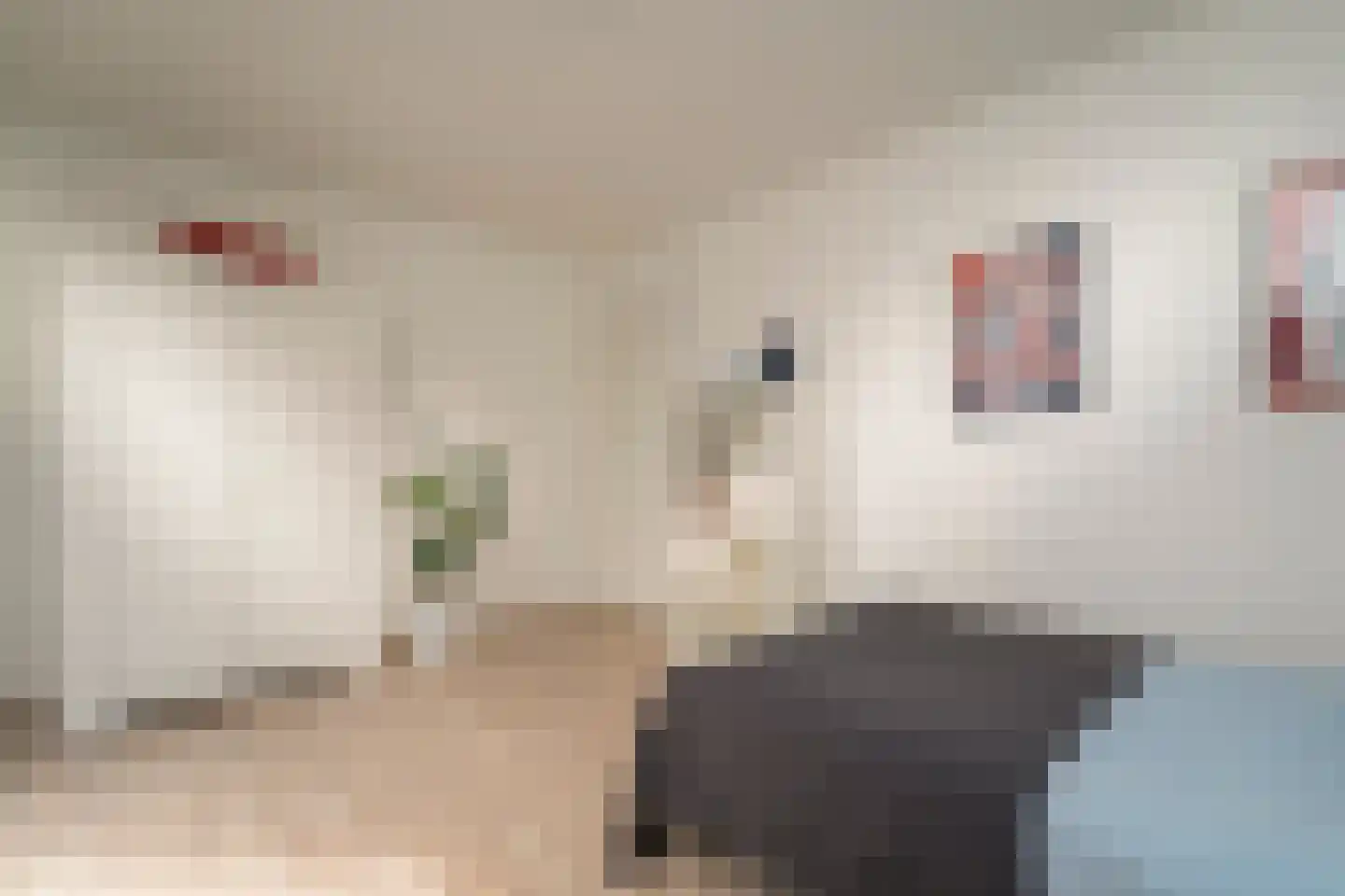 Ankeveenstraat 8 Tilburg thumbnail 25
