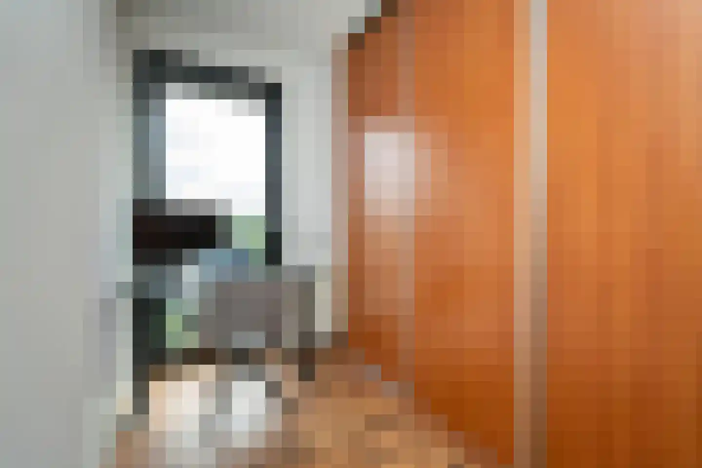 Ankeveenstraat 8 Tilburg thumbnail 28