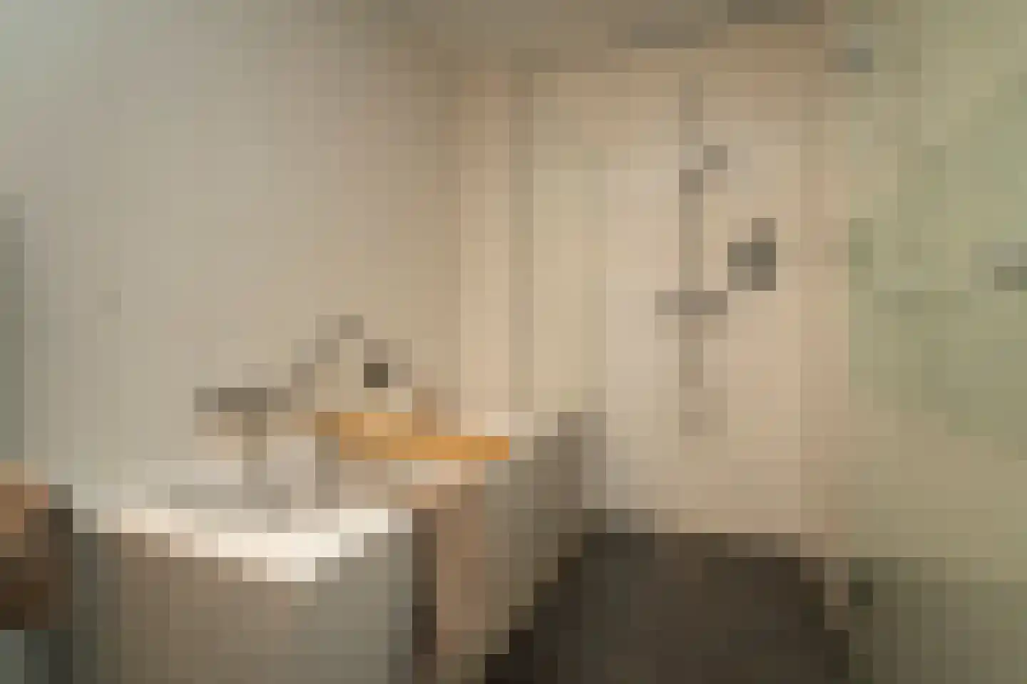 Ankeveenstraat 8 Tilburg thumbnail 28