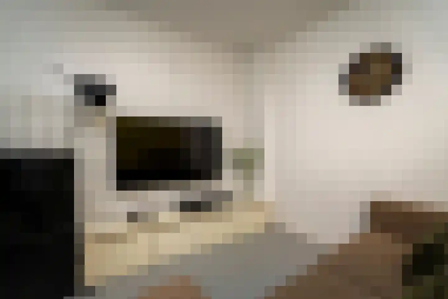 Ankeveenstraat 8 Tilburg thumbnail 30