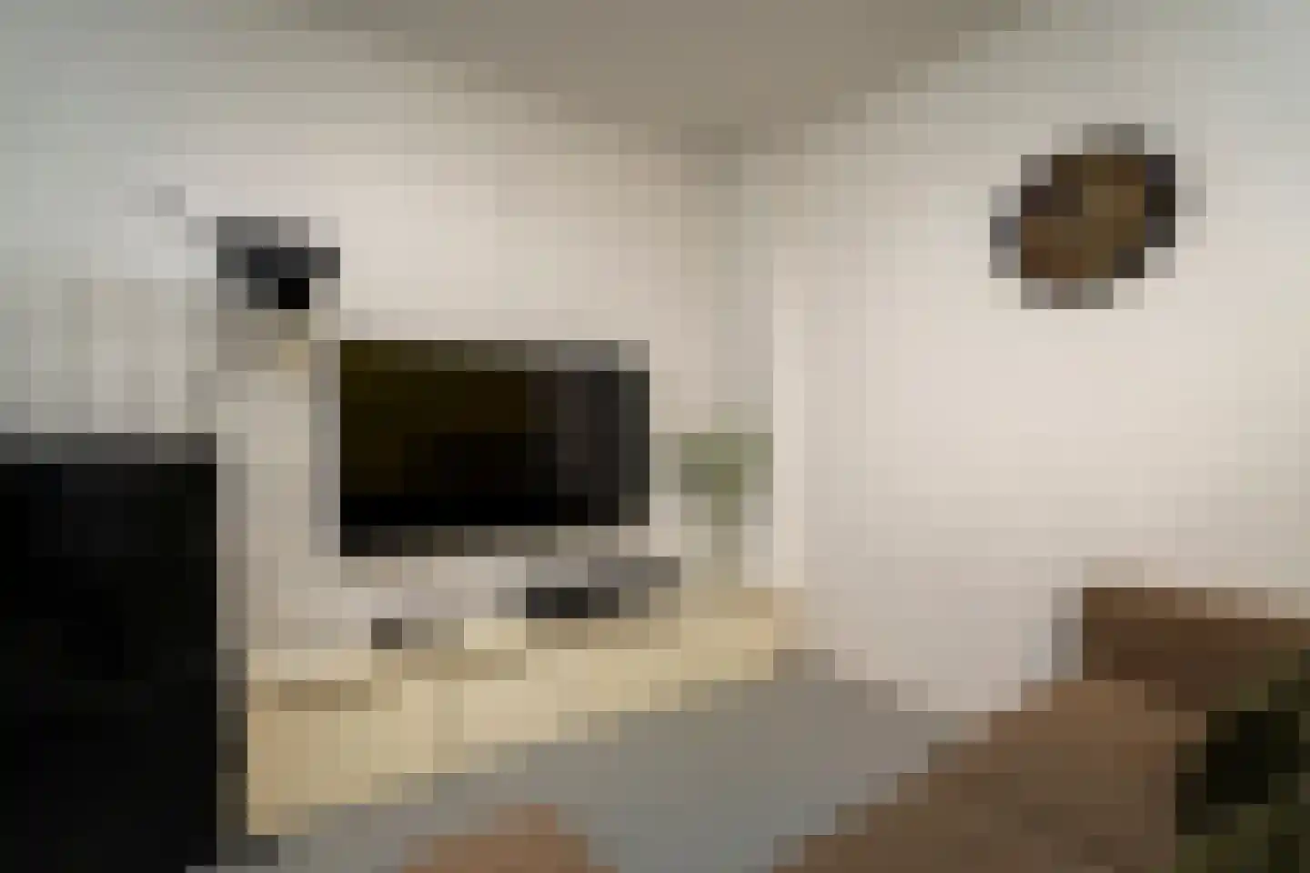Ankeveenstraat 8 Tilburg thumbnail 42