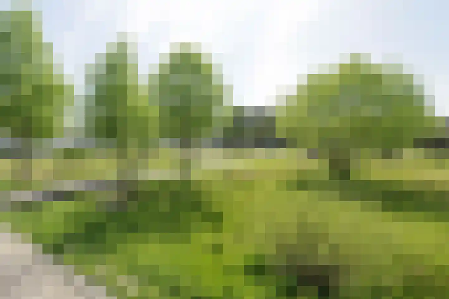 Ankeveenstraat 8 Tilburg thumbnail 42