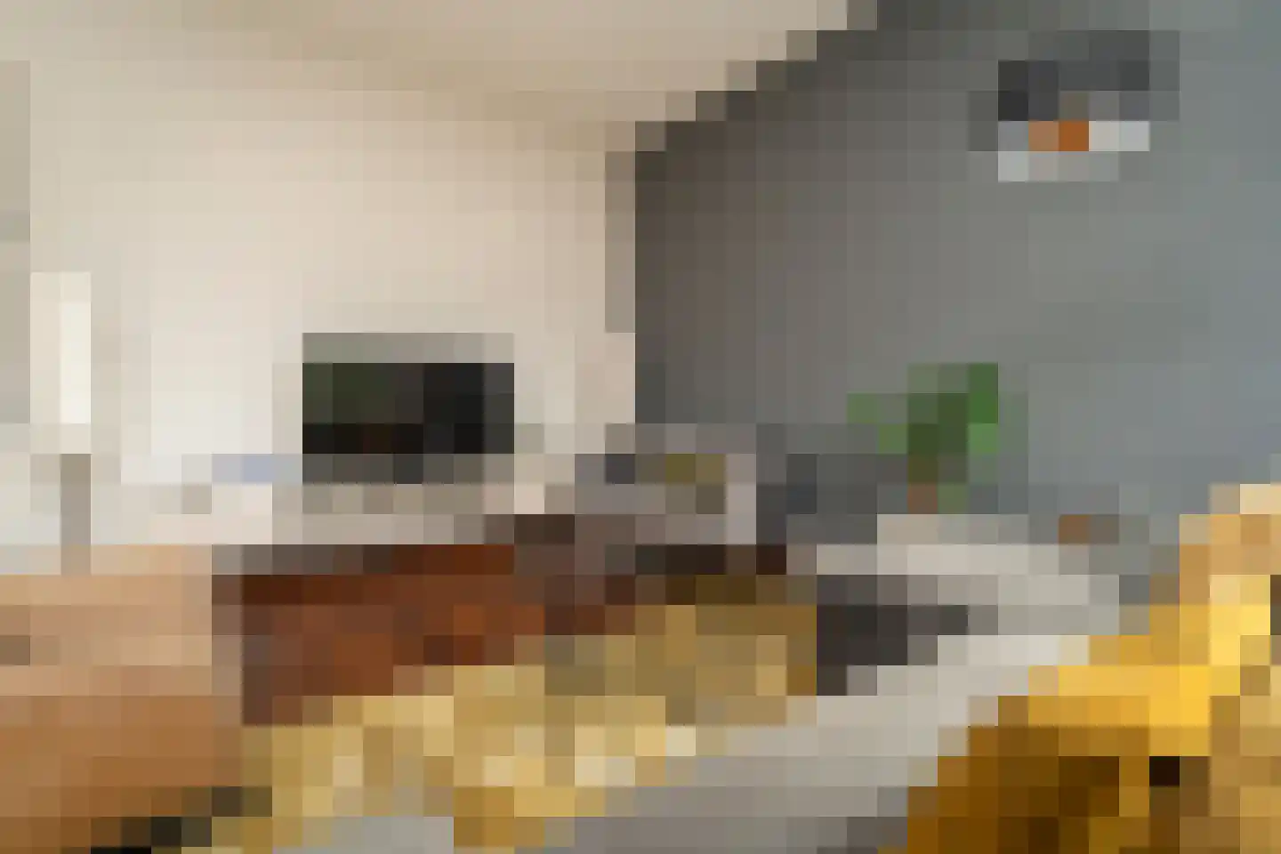 Ankeveenstraat 8 Tilburg thumbnail 7