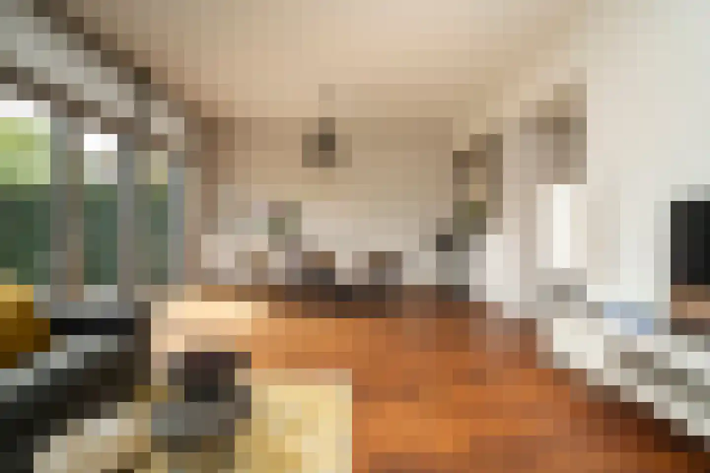 Ankeveenstraat 8 Tilburg thumbnail 9