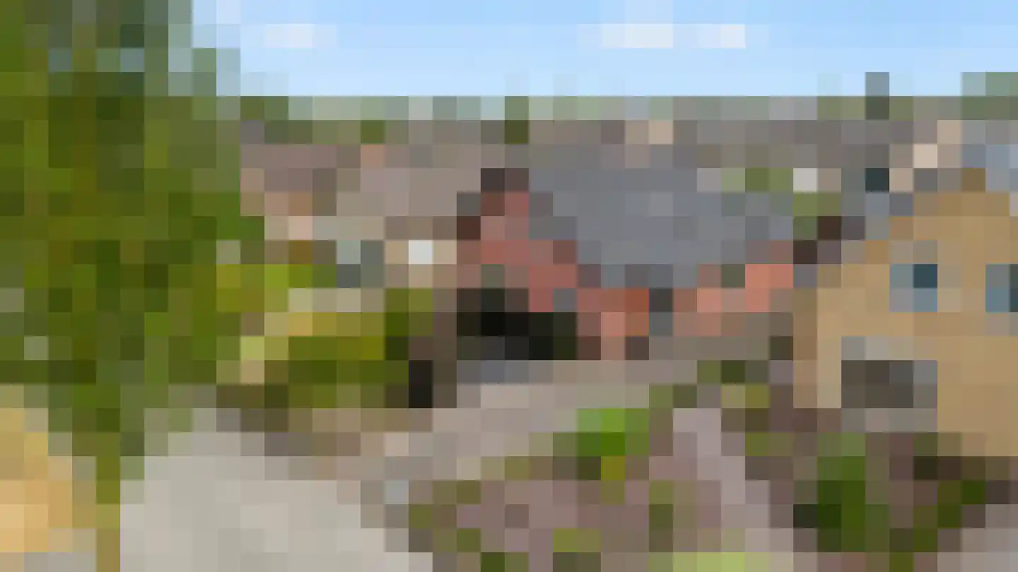 Anklaarseweg 396 Apeldoorn thumbnail 4