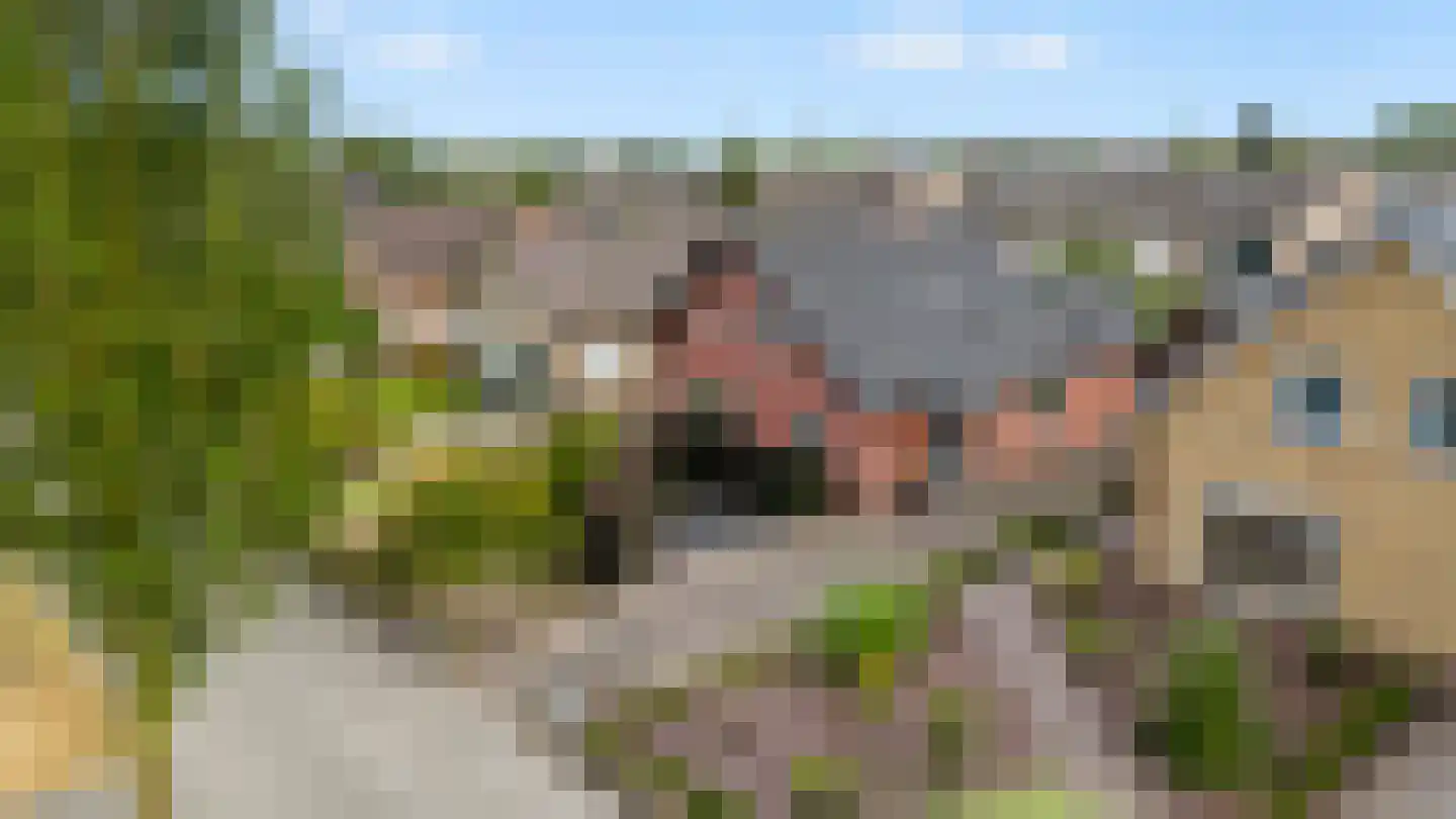 Anklaarseweg 396 Apeldoorn thumbnail 4
